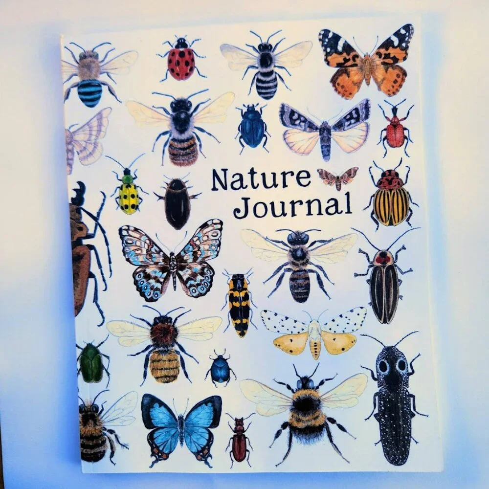NEW Nature Journal Drawing Book Kids Workbook for Children Insects Insect Bees B
